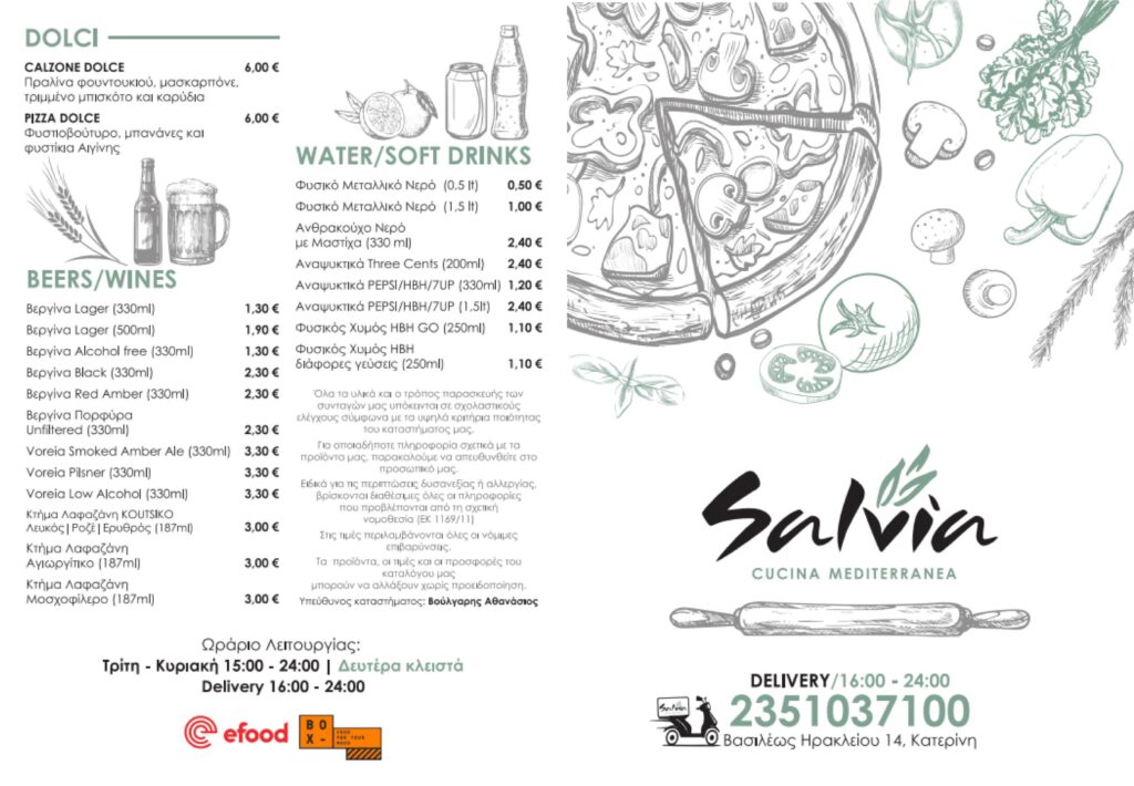 salvia flyer 03